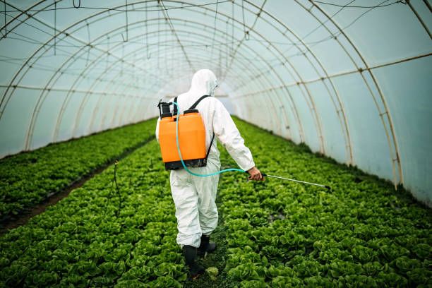 Best Pest Control Near Me  in Bothell West, WA
