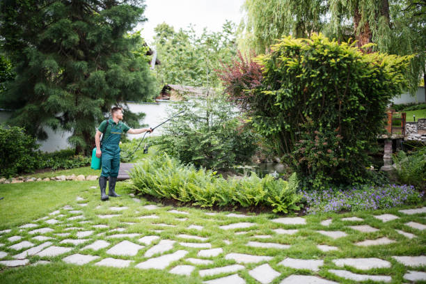 Best Best Pest Control Companies  in Bothell West, WA