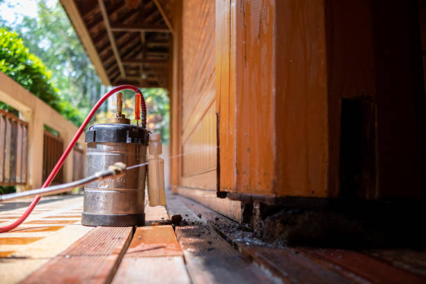 Best Cockroach Control Services  in Bothell West, WA