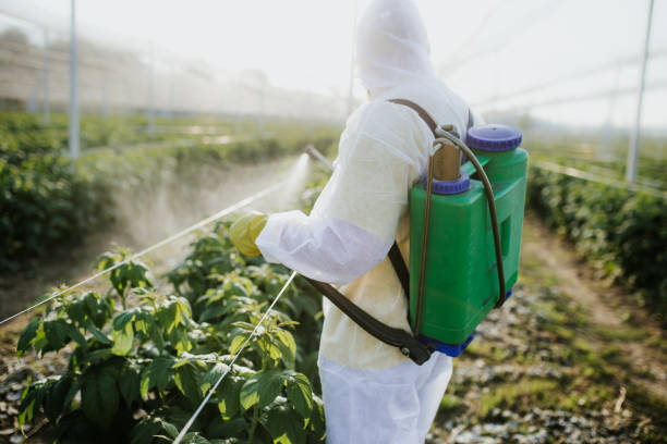 Best Emergency Pest Control  in Bothell West, WA